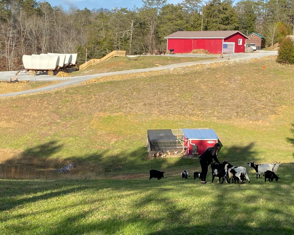 Smoky Hollow Outdoor Resort Covered Wagon Sevierville Exteriér fotografie